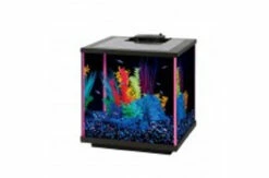 Aqueon Neoglow Led Aquarium Kit Pink 5.5 Gal {L-b}