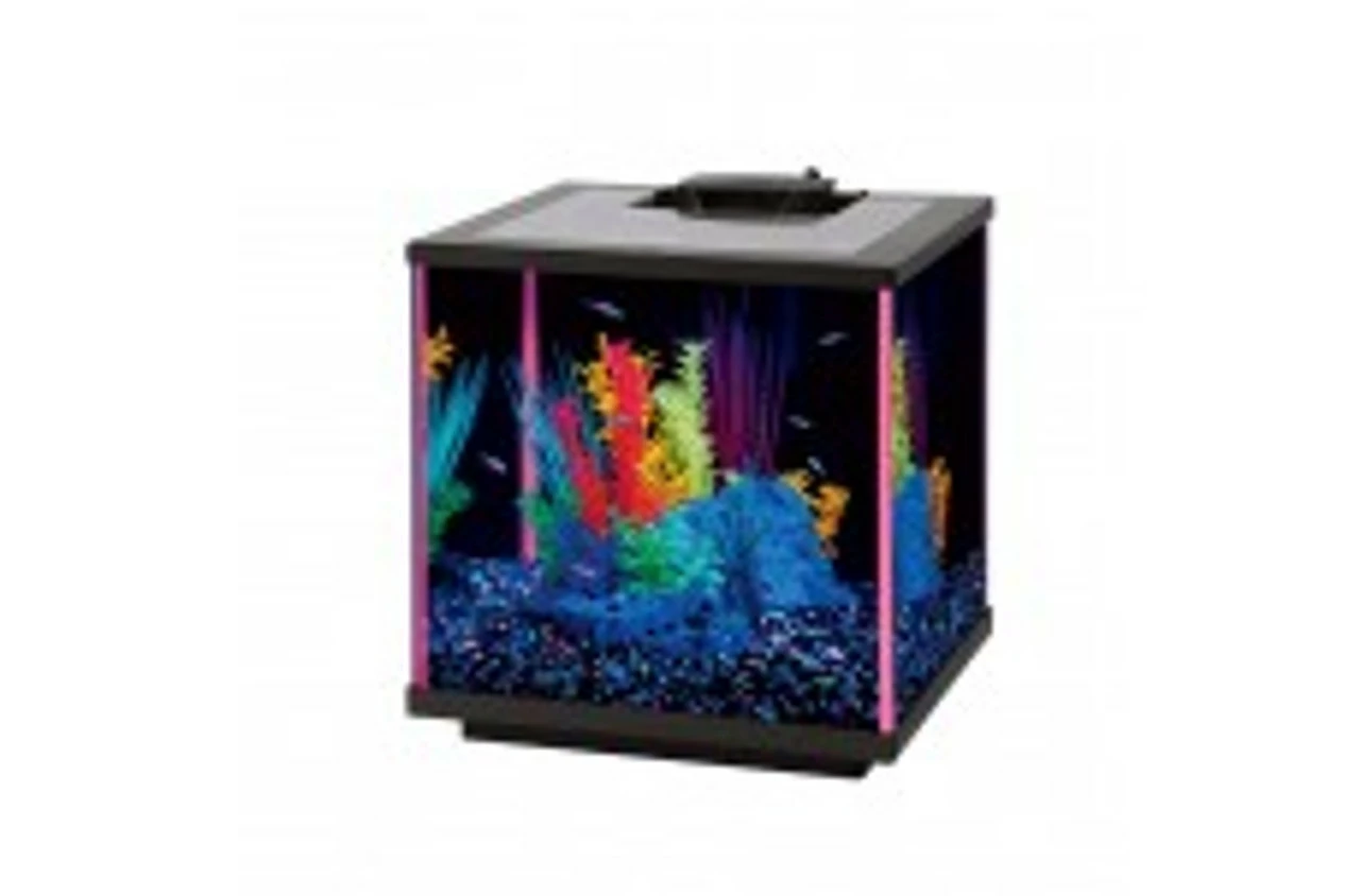 Aqueon Neoglow Led Aquarium Kit Pink 5.5 Gal {L-b}