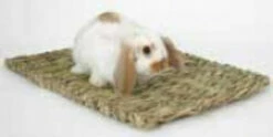 Marshall Woven Grass Mat For Small Animals Yellow