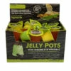 Komodo Jelly Pots Insect Food Fruit Flavor Display 40ct/16gram