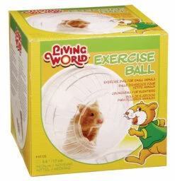 Living World Exercise Ball, Medium