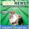 Fresh News Small Animal Litter 20 L