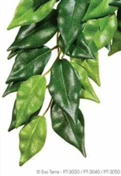 HAGEN Exo Terra Silk Plant Large Ficus Pt3050{L+7}