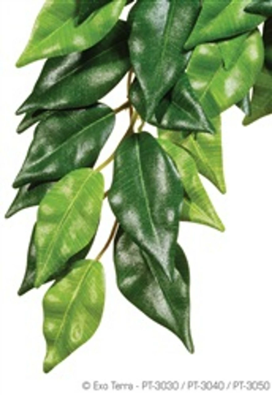 HAGEN Exo Terra Silk Plant Large Ficus Pt3050{L+7}