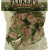 Fluker's Red Coleus Repta-Vines Green, Red 6 Ft