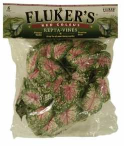 Fluker's Red Coleus Repta-Vines Green, Red 6 Ft