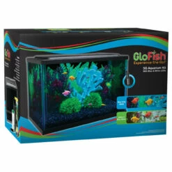 GloFish Glass Aquarium Kit Black, Clear 5 Gal