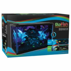 GloFish Glass Aquarium Kit Black, Clear 10 Gal