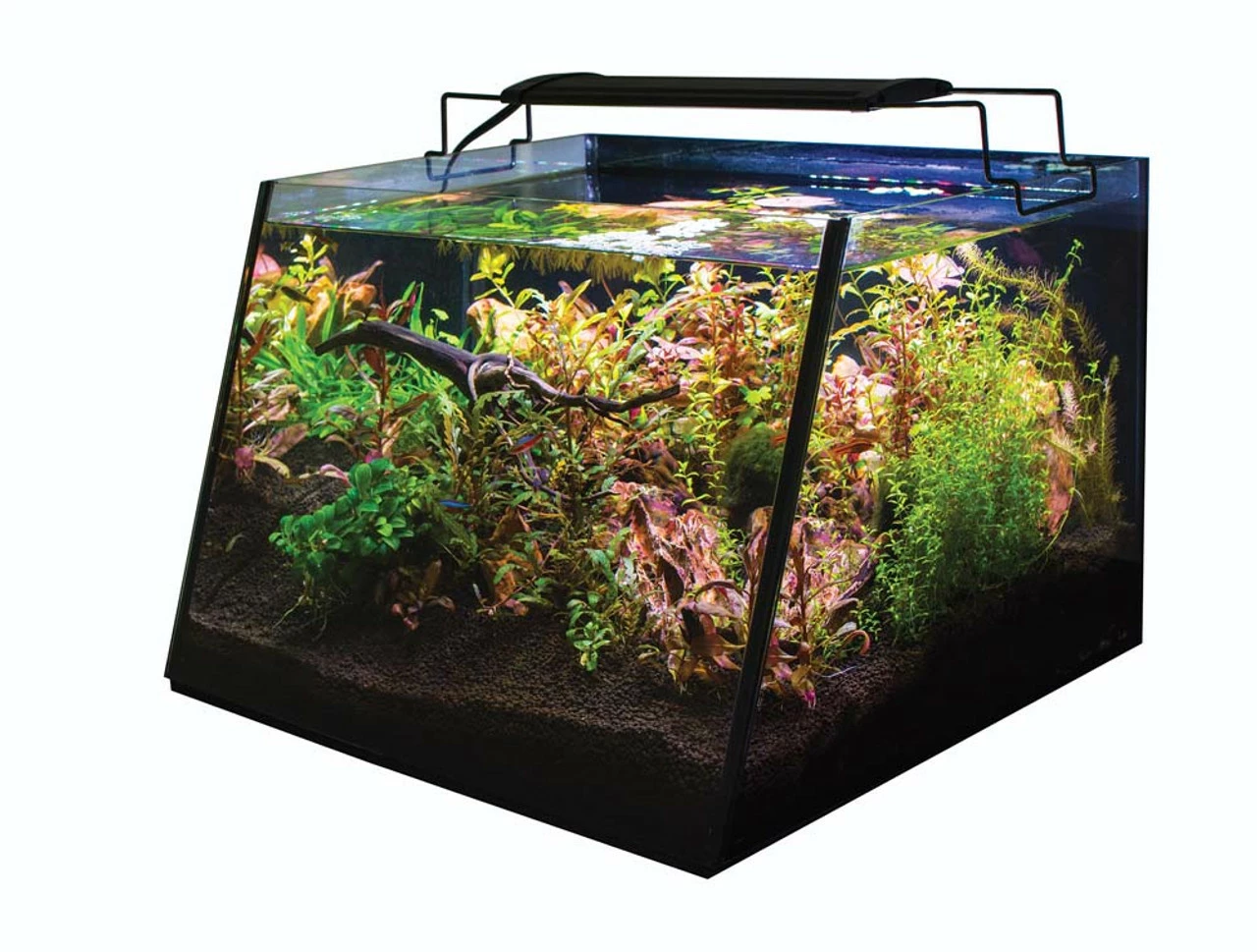 Lifegard Aquatics Full-View Aquarium With Built-in Back Filter Complete Kit Black, Clear 7 Gal