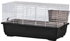 A & E Cages Rabbit Cage Black 31 Inches X 17 Inches X 17 Inches