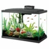 Aqueon Pre-Priced LED Aquarium Kit 20H
