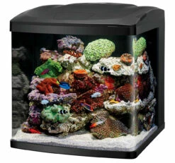 Coralife LED Biocube Marine Or Freshwater Aquarium Kit 32