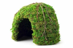 Galapagos Mossy Dome Terrarium Hideaway Fresh Green 6 In