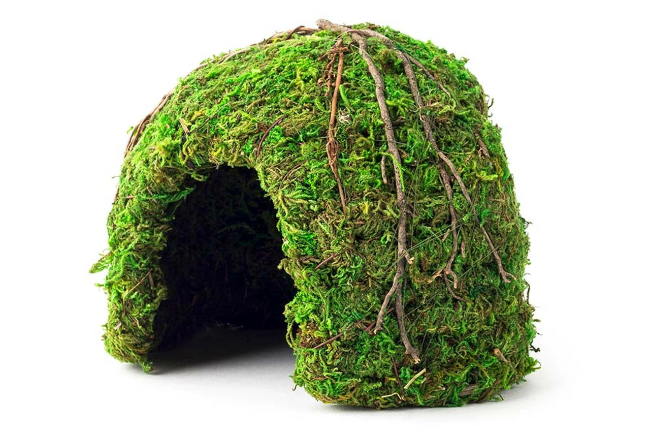 Galapagos Mossy Dome Terrarium Hideaway Fresh Green 6 In