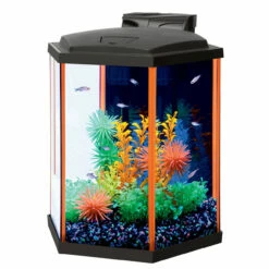 Aqueon NeoGlow LED Aquarium Kit Orange 8 Hexagon