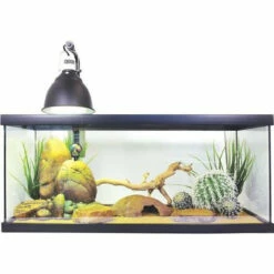 HAGEN Exo Terra Juvenile Bearded Starter Kit Pt3895 SD-3