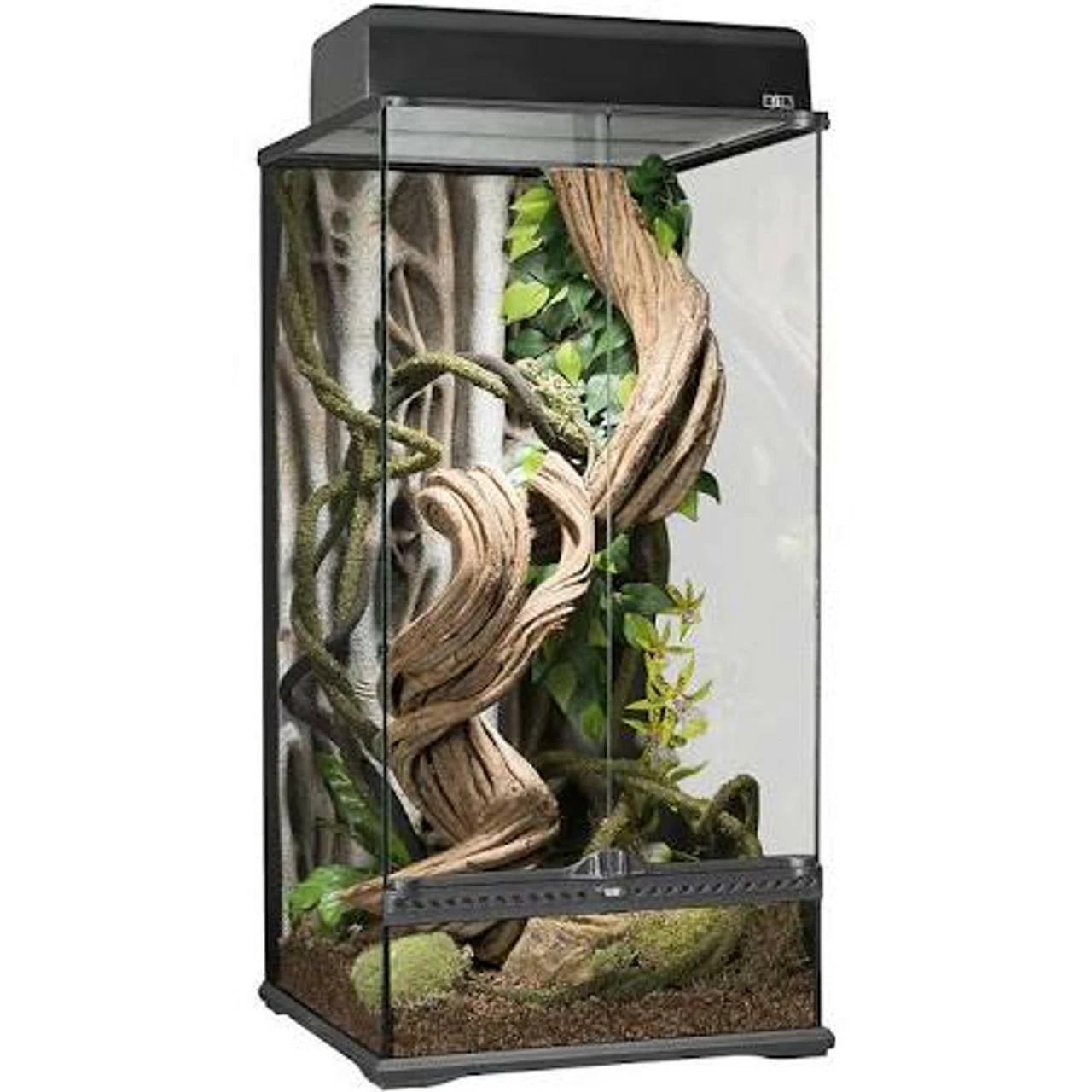 HAGEN Exo Terra Terrarium Small Extra Tall 18x18x36 In Pt2606 SD-3