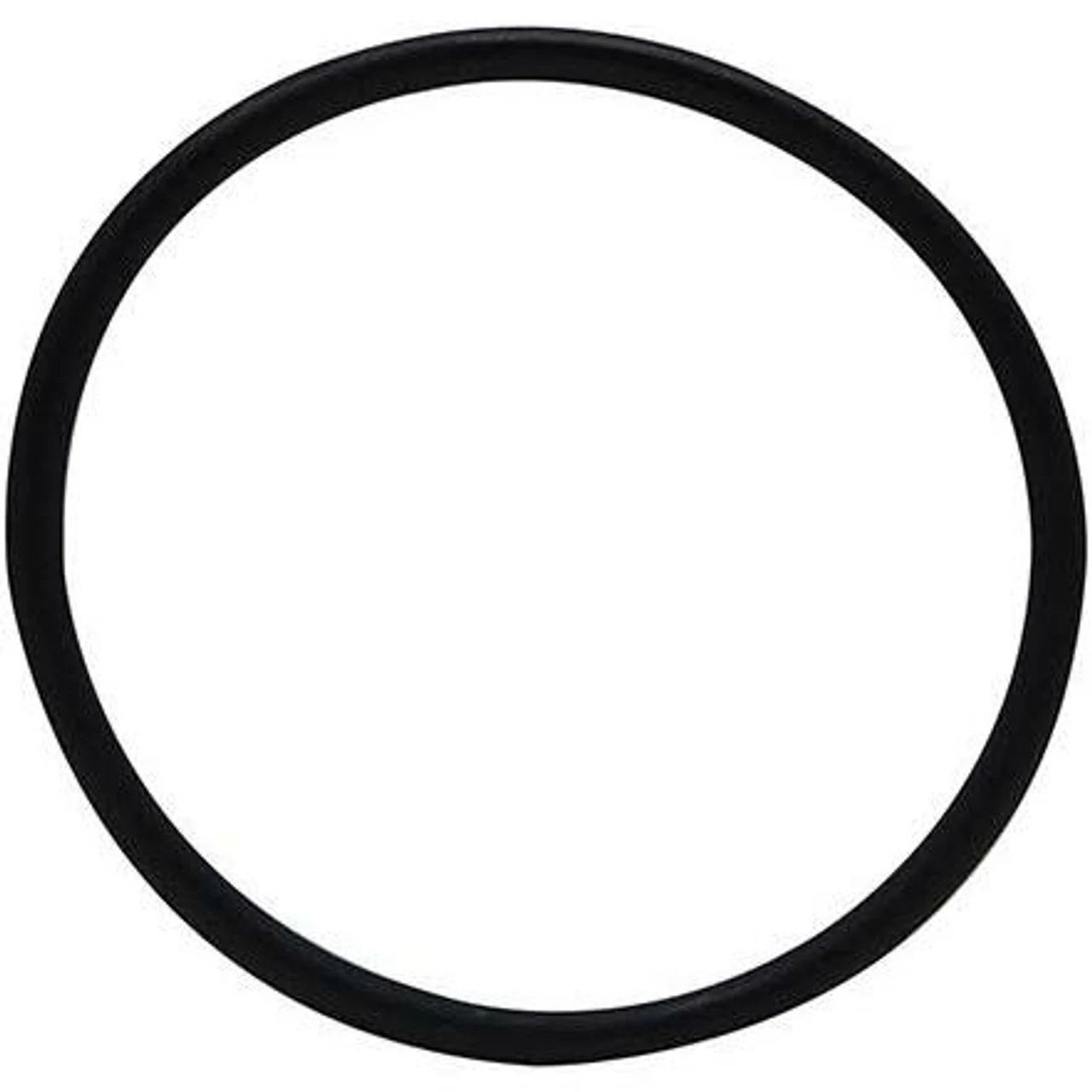 Hagen Laguna Seal Ring Pt8204/8,pt8236,pt328/30/42 Pt762{L+7}