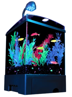 GloFish Aquarium Kit Black, Clear 1.5 Gal
