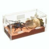 Zilla Micro Habitat Terrariums With Locking Latch Terrestrial, Small