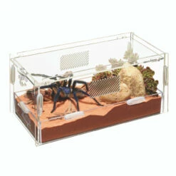 Zilla Micro Habitat Terrariums With Locking Latch Terrestrial, Small
