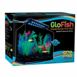 GloFish Cresent Aquarium Kit Black, Clear 3 Gal